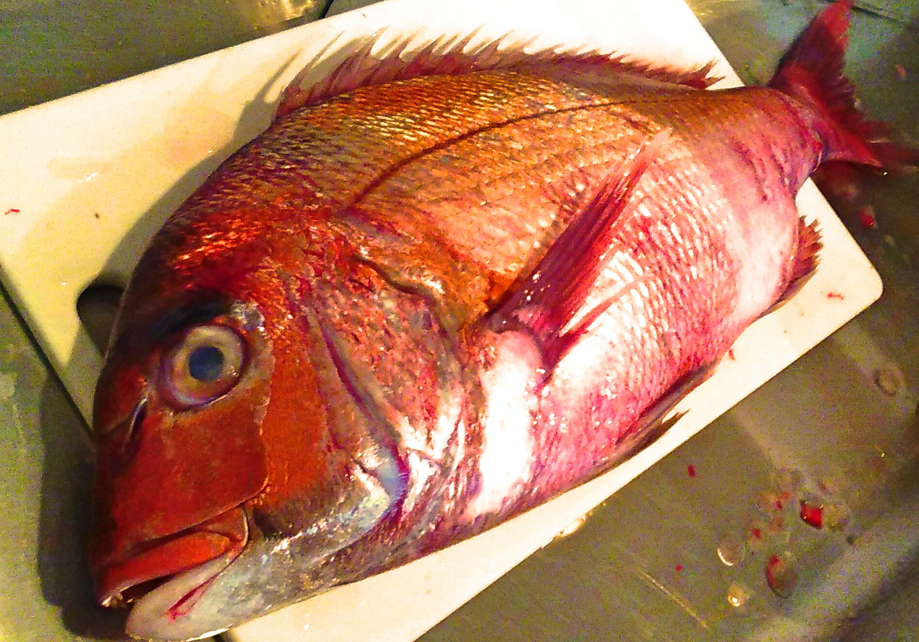 小田原 真鯛と寒ブリ･本メジマグロ･ホッキ貝の海鮮ちらし丼❗❗